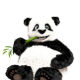 Tinypng